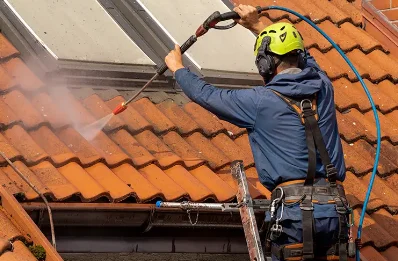 Démoussage et hydrofuge de toiture à Sepvret